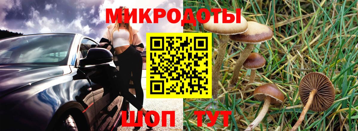 Соль-Илецк  Галлюциногенные грибы Psilocybine cubensis  Вход с VPN 