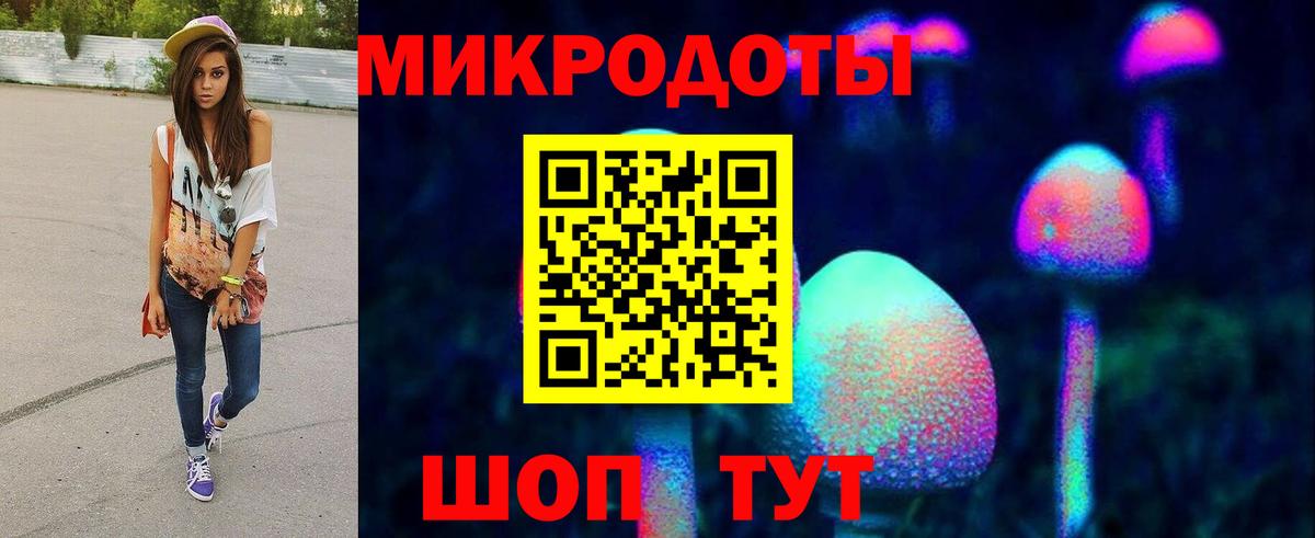 Галлюциногенные грибы Cubensis Соль-Илецк